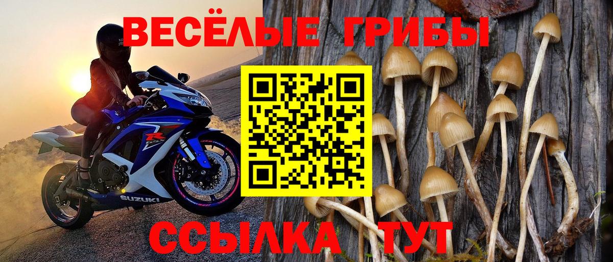 Галлюциногенные грибы Cubensis  Вход с VPN  Королёв 