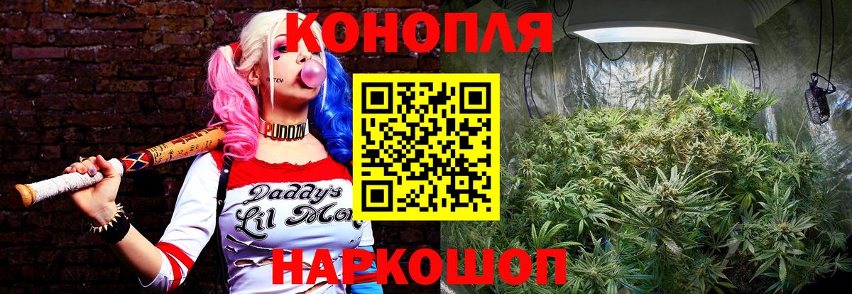 Шишки марихуана MAZAR  МАРИХУАНА сатива  Вход с VPN  Канабис Ganja  Королёв 